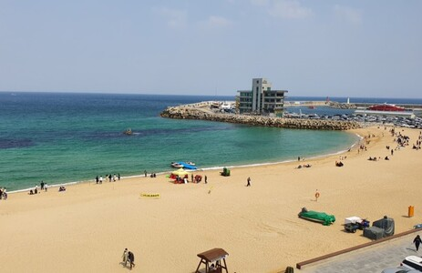 오피카페 핫플레이스 강릉안목해변