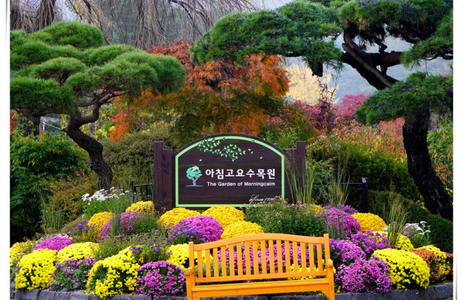 오피카페 핫플레이스 가평아침고요수목원