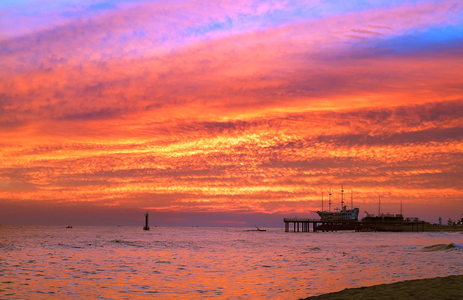 오피카페 핫플레이스 강원정동진