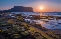 오피카페 제주성산 일출봉