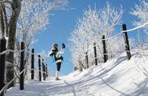 오피카페 강원설악산 국립공원