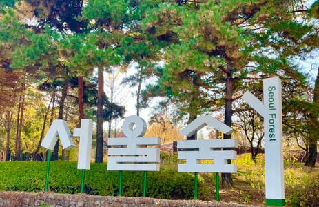 오피카페 핫플레이스 서울서울숲공원