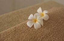 오피카페 휴게텔